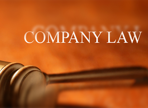 Everything You Need to Know About Company Laws