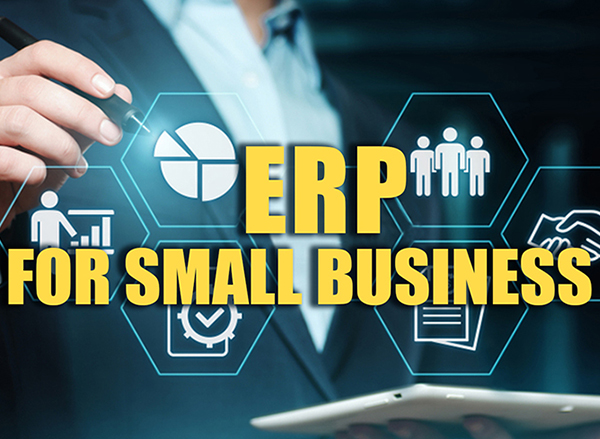 ERP For Small Business: Going The Right way!