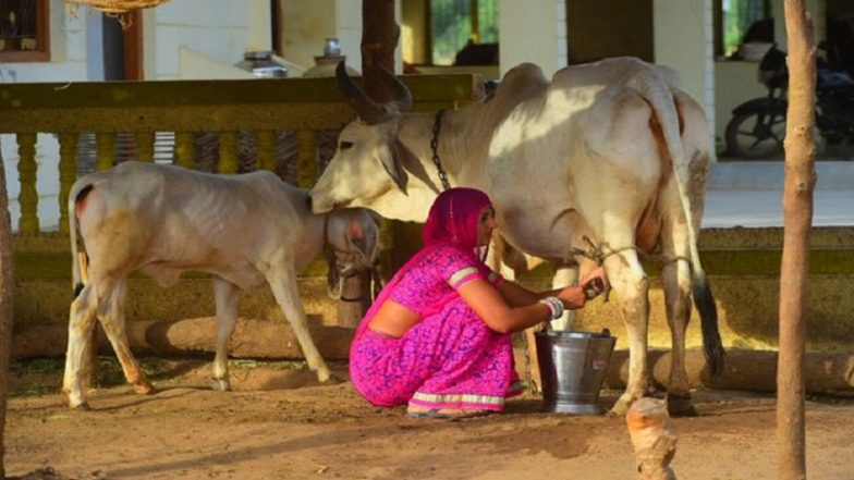 Rural Business Ideas: ग्रामीण क्षेत्र की महिलाएं शुरू कर सकती है दूध का बिजनेस, सरकार भी करेगी मदद, कमाई भी होगी अच्छी
