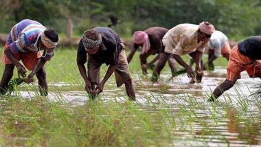 Kisan Diwas 2020: किसान दिवस पर जानिए क्या है Pradhan Mantri Kisan Samman Nidhi Yojana योजना और अन्नदाता इससे कैसे उठा सकते फायदा