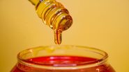 Profitable Ideas: सेहत के लिए वरदान है Honey, इसका बिजनेस भी है फायदे का सौदा
