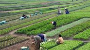 Agriculture Business Ideas: खेती से जुड़े ये 5 बिजनेस आपको बना देंगे मालामाल