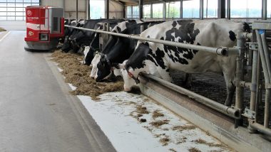 Dairy Farming: इन टिप्स के साथ शुरू करें अपना डेयरी फार्मिंग बिजनेस