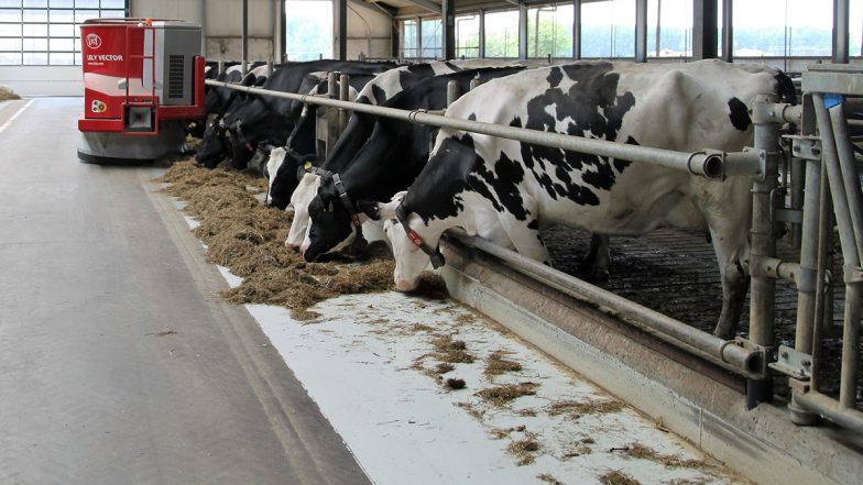 बदल रही देश के डेयरी सेक्टर की तस्वीर, 44 फीसदी बढ़ा दूध का उत्पादन
