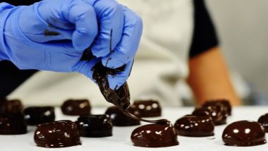Home Chocolate Business: घर से चॉकलेट बनाकर करें लघु उद्योग की शुरुआत, जानें बिज़नेस को शुरू करने के मंत्र