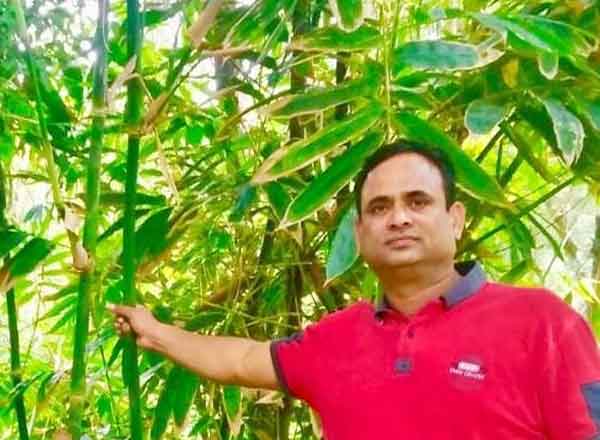 राज शेखर पाटिल Success Story: कभी दो हजार रुपए की करते थे नौकरी, अब बांस की खेती से कर रहें है करोड़ों की कमाई