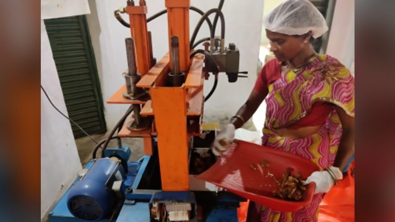झारखंड की ग्रामीण महिलाओं की कामयाबी की कहानी, इमली के बिजनेस से हासिल किया नया मुकाम