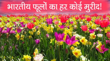 विदेशों में फैल रही भारतीय फूलों की खुशबू, करोड़ों रुपयों के फूल हर साल अमेरिका और खाड़ी देशों में होते है एक्सपोर्ट