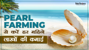 Pearl Farming से करें हर महीने लाखों की कमाई Business Idea