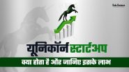 यूनिकॉर्न स्टार्टअप क्या है? यूनिकॉर्न स्टार्टअप की विशेषताएं और लाभ